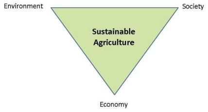 Sustainable agriculture