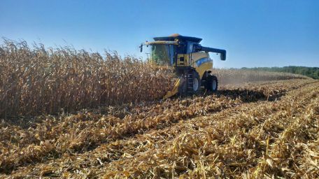 IMG_20181004_153856_hdr