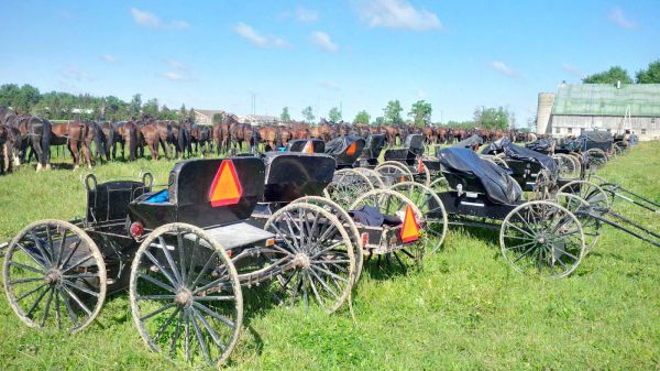 IMG_20170715_100200_hdr